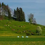 Immenberg * Dirlewang