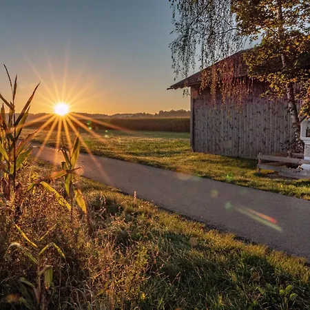 Immenberg Appartement *